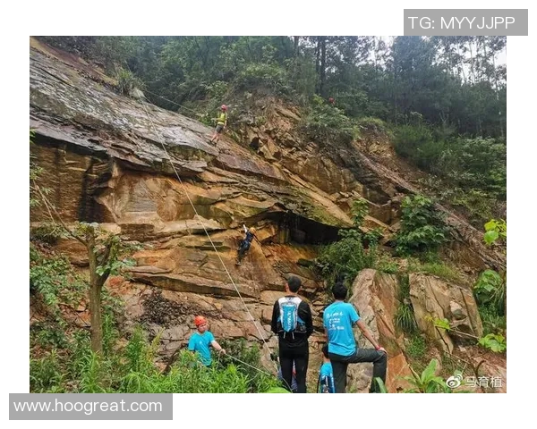 南京攀岩队与重庆攀岩队赛后战术分析与总结探讨